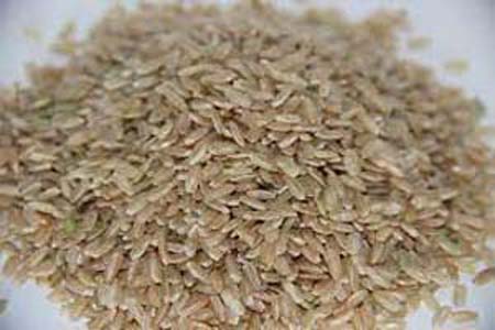 RIZ LONG COMPLET CAMARGUE VRAC