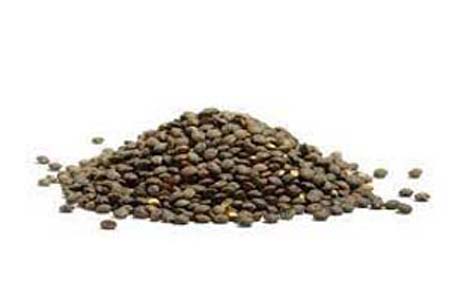 LENTILLES VERTES BIO VRAC LOCAL