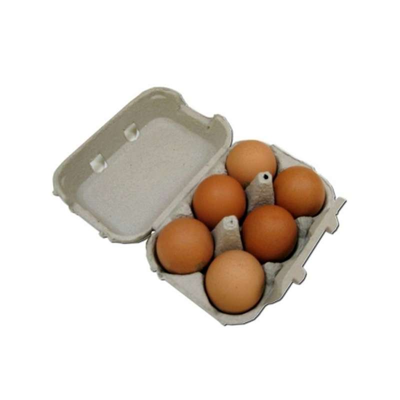OEUF FRAIS X 6 COUR DES LIONS