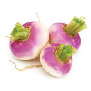 NAVET ROND VIOLET