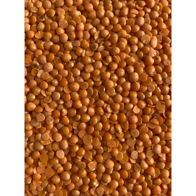 LENTILLES CORAIL VRAC