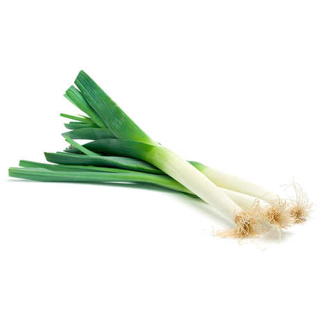 POIREAU PRIMEUR DU PRINTEMPS BIO