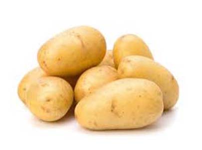 POMME DE TERRE BIO FRANCE