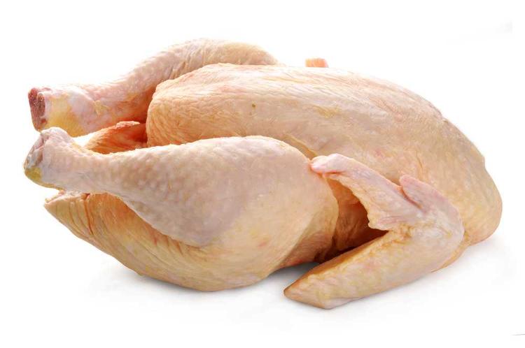 POULET BIO LOCAL