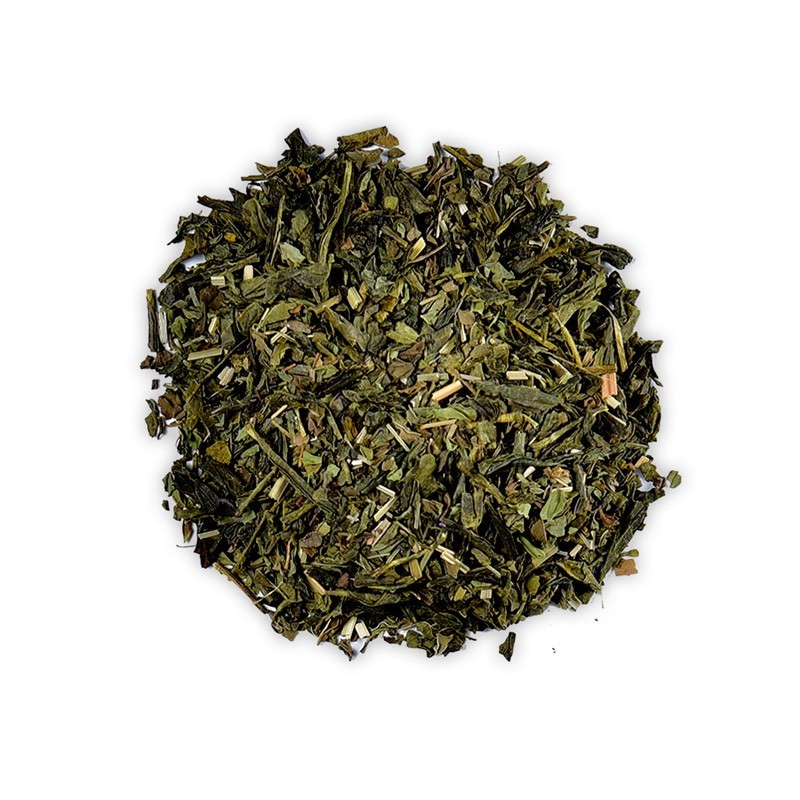 THE VERT MENTHE CHINE BIO