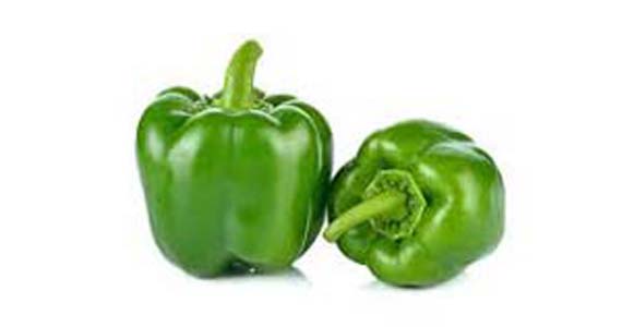 POIVRON VERT  BIO