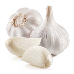 AIL SEC BLANC BIO