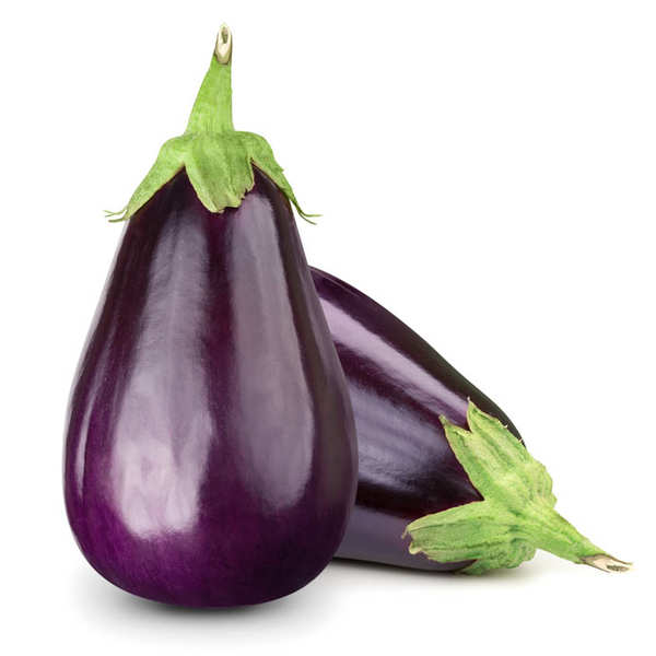 AUBERGINE OVALE VIOLETTE BIO