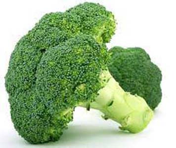 CHOU BROCOLI VERT  BIO