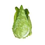 CHOUX CABU/ POINTU BIO