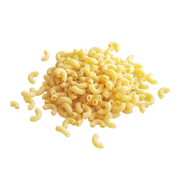 COQUILLETTE BLANCHE BIO VRAC