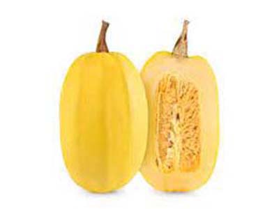 COURGE SPAGHETTI BIO FRANCE
