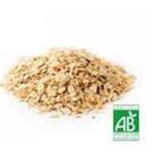 FLOCONS AVOINE BIO LOCAL VRAC