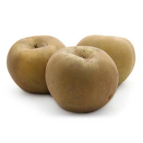 POMME JAUNE REINETTE  GRISE DU CANADA  BIO