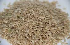 RIZ LONG DEMI COMPLET DE CAMARGUE BIO VRAC