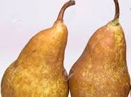 POIRE KAYSER  BIO