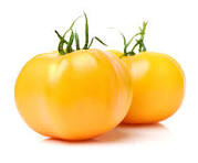TOMATE RONDE CHARNUE JAUNE