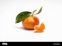 MANDARINE TARDIVO BIO