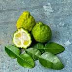 COMBAVA BARQ 2 FRUITS