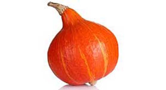 COURGE POTIMARRON ORANGE BIO FRANCE