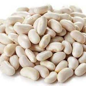 HARICOTS BLANCS SECS LINGOTS VENDEE