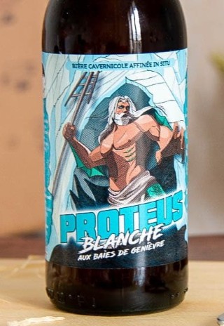 BIERE PROTEUS 33cl