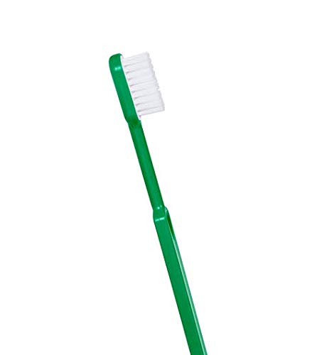 BROSSE A DENT ECOLOGIQUE MEDIUM VERT