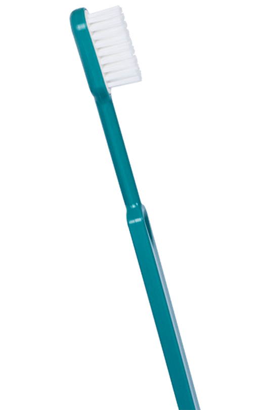 BROSSE A DENT ECOLOGIQUE MEDIUM TURQUOISE
