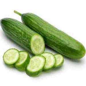 CONCOMBRE LONG BIO