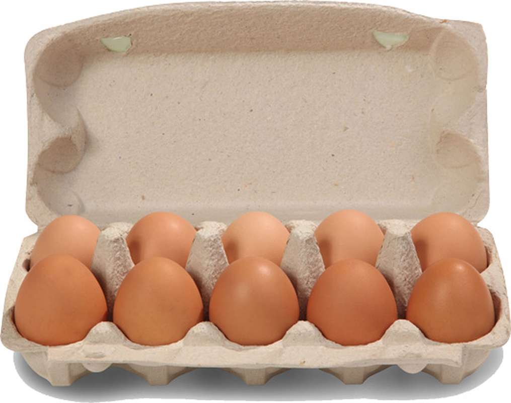 OEUF FRAIS X10 COUR DES LIONS