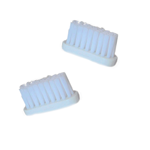 RECHARGES BROSSE A DENTS MEDIUM X2 CALIQUO