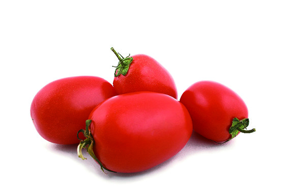 TOMATE ALLONGEE ROMA BIO